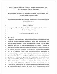 Miniatura