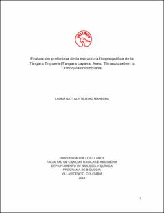 Miniatura
